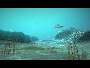Underwater FX [Released]