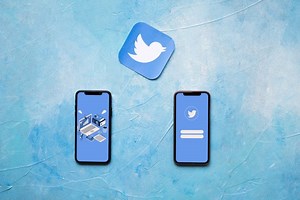 Best twitter video downloader