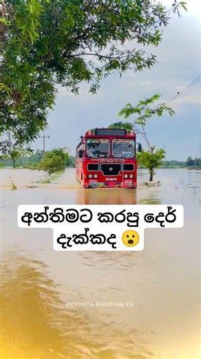 😕 කරපු දේ #travel #automobile #tour #bus #busrace #music #trending #driving #shortsfeed #shorts