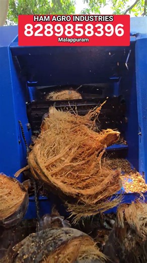 Coconut Dehusking 2Hp | HAM CDX200| Kerala| #coconutprocessing #coconutdehusker