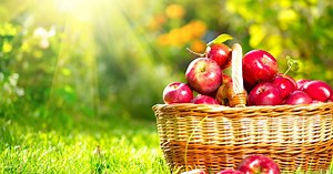 A 12 legjobb almás recept, amit neked is ki kell próbálnod