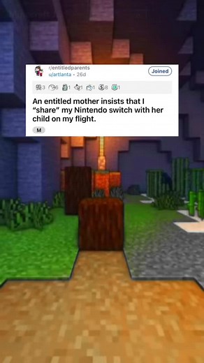 Sharing My Nintendo Switch on a Flight: A Mom's Request