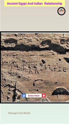 Tamil, Sanskrit,Brahmi Inscriptions in Egypt/🇮🇳/Facts/Egypt Inscriptions /#shorts #shortsfeed