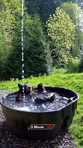 33K views · 274 reactions | Fun times  | 3 Minute - DIY | Facebook