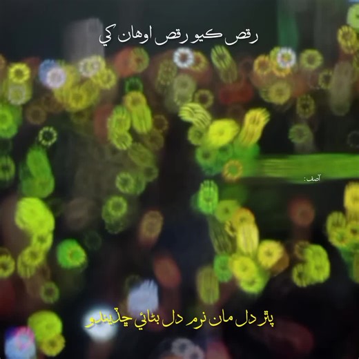 RAQS 🙌🏻 || RECH DOWN #sindhistatus #sindhistatus #sindhistatus #sindhistatus #foryoupage #foryoupage #foryoupage #foryoupage #foryoupage #foryoupage #foryoupage #foryoupage #foryoupage #foryou #foryou #foryou #foryou #foryou #foryou #foryou #foryou #sindhistatus #sindhifam #sindhifam #sindhifam #sindhifam #sindhifam #sindhifam #sindhifam #fyp #fyp #fyp #fyp #fyp #fyp #fyp #fyp #fyp #fyp #fyp #fyp #fyp #fyp #fyp #fyp #fyp #fyp #fyp #trending #trending #trending #trending #trending #trending #si