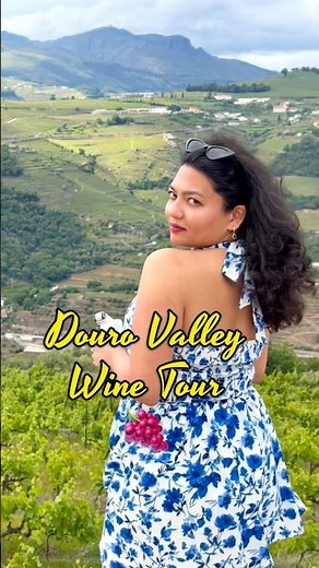 Douro Valley Wine Tour from Porto, Portugal 🍇