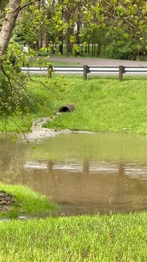Eagle Ridge Stormwater Retention pond - After a rainfall event