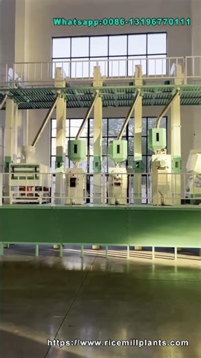 Maximize Rice Output with Our 60T/D Milling Solution #RiceMill #RiceMillingMachine