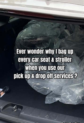 How to Prevent Bugs in Your Car Seats