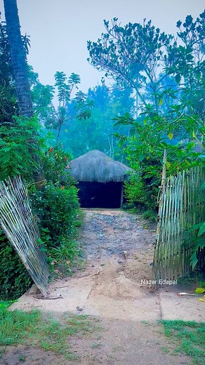 സുപ്രഭാതം…. #keralaphotographyclub #keralabeuty #viralvideos #morning #motivation #mornings #mornington#sunrise #fog #mist #goodmorningeveryone #goodmorningpost | N A Z A R edapal photography