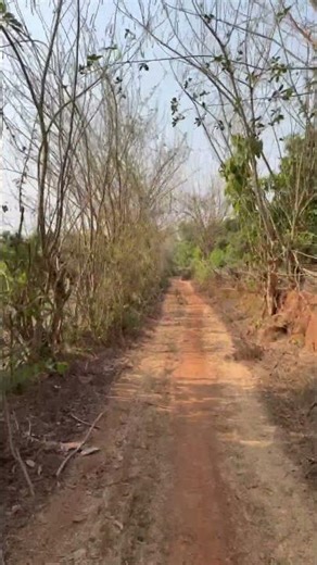 कोकणातील सुंदर पायवाटा ❤️