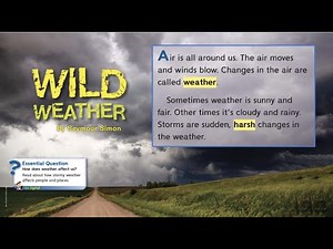 Wild Weather