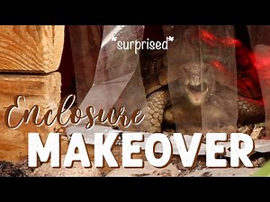 My Outdoor Tortoise Enclosure | Revamping Kiwi's Enclosure