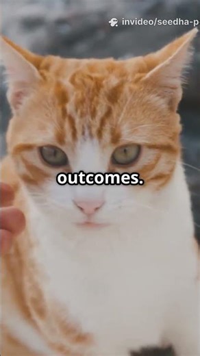 Do CATS Really Trust Your Hands More Than Your Face?