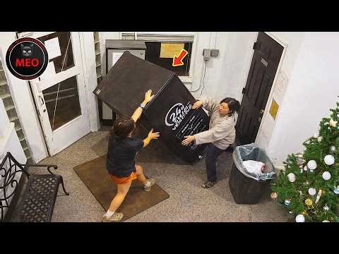 Moments when Thing Went Wrong (P31) | 2025 Idiots at Work & Instant Regret Fails Compilation