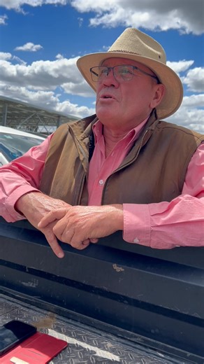 14K views · 98 reactions | Corowa 1st X Blue Ribbon Breeders Sale Report | Elders Corowa | Facebook