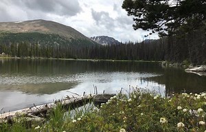 Route 3, Canada’s version of Washington’s North Cascades loop, makes for a scenic drive with stunning hikes and wineries all around