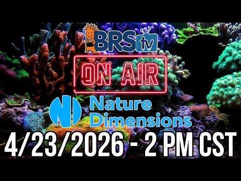 BRStv LIVE Reef Tank Q&A with Nature Dimensions! 4/23/26 2PM CST