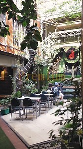 **Grand Opening ✨ Cha & Chill Premium** ☕ More premium space, refined taste, and the same cozy chill vibes 🤍 📍 Elephant Road #ChaAndChill #ChaAndChillPremium #GrandOpening #PremiumChill #ElephantRoad #ChillVibes | Cha & Chill