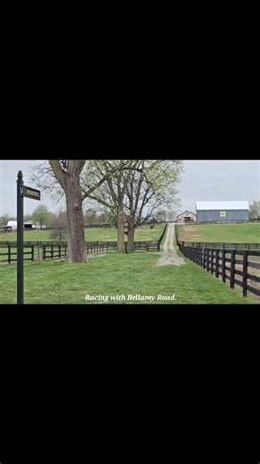 I'll Have Another is enjoying his turnout post quarantine. Here are some snippets of his first day in his new paddock. | Old Friends