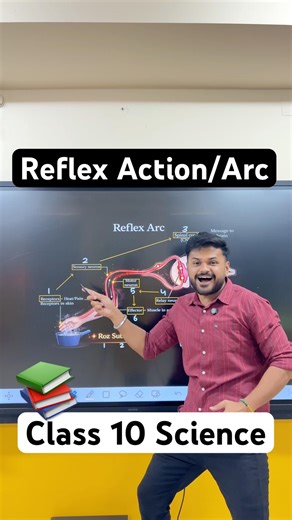 Reflex Action & Reflex Arc | CBSE Class 10 Biology | NCERT