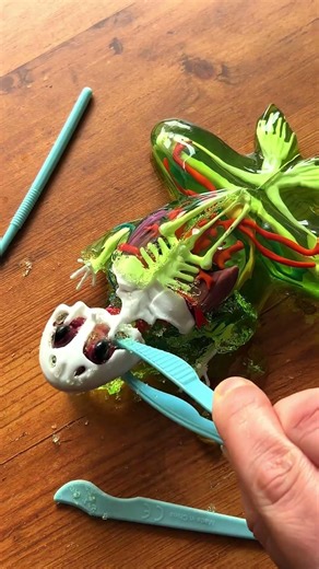 Looks like a regular frog… until science happens!🐸