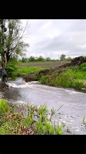11K views · 125 reactions | Breaking Down the Beaver Dam Manually – Step-by-Step Handwork in the Wild ️️ #beaverdamremoval | The Video Corner | Facebook