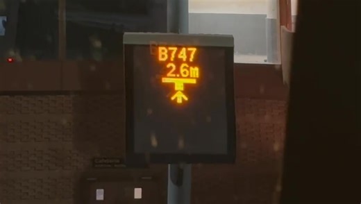 Stand Guidance System model Safedock S 📷@Riccardino | Boeing 747 The Queen of the Skies