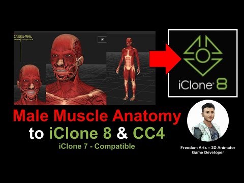 Male Muscle Anatomy to iClone 8 + Character Creator 4 + iClone 7 - Full Tutorial