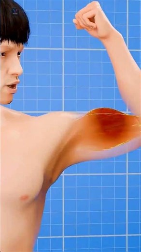 The Physics of Flexing! 💪 Why Muscles Look Bigger Instantly? #Fitness #Voyon #Shorts