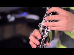 Zelda's Lullaby (Clarinet Cover Ft. CSGuitar89)