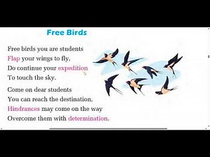 class 8 English unit 5/Free Birds /grade 8 English unit 5