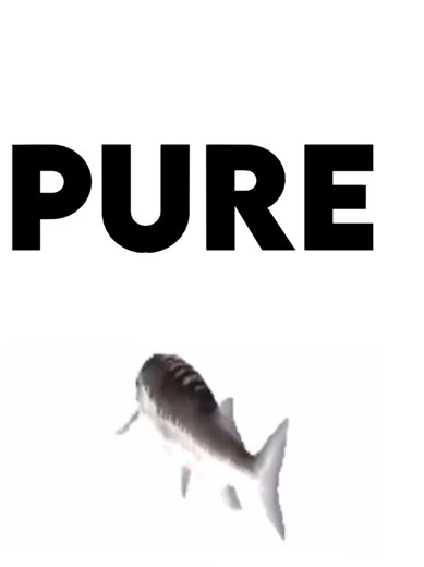 Creative Background Designs for Tweening Animation