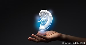 Milzfunktion: Was macht die Milz?