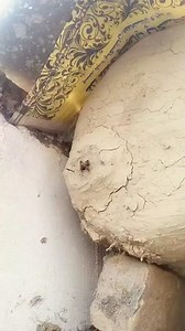 Wild Honey Bees Keeping Techniques | Easy & Natural Beekeeping for Beginners