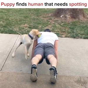 506K views · 6.6K reactions | "Hey human you know what else is great...