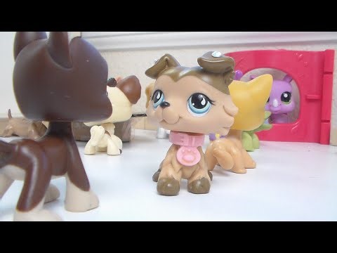 Lps: Her Brother || Ep. 2 “He’s Everywhere”