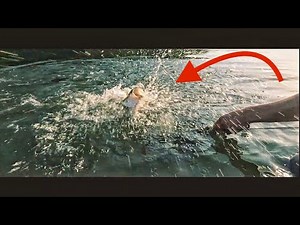 this GIANT BASS destroys the POPPER!