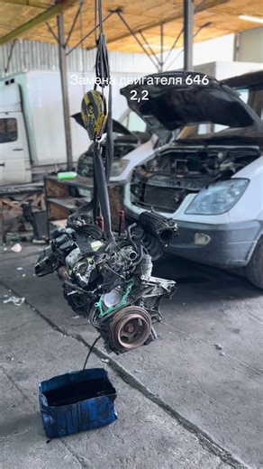 sprinter_alga (@sprinter_alga)s videor med оригинальный звук - sprinter_alga