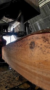 95K views · 566 reactions | very amazing wood cutting process | Sawmill & Woodworking | Facebook