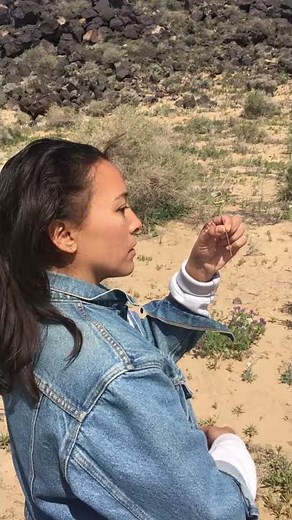 How to Do a Ponytail with a Hair Stick