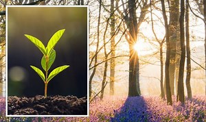 Seven facts about the Spring equinox