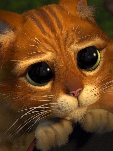 Gato de Botas: comente a foto do pet que te enganou | Shrek 2