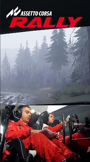 Assetto Corsa Rally | Technical Gravel Section Driven at Race Rhythm #shorts