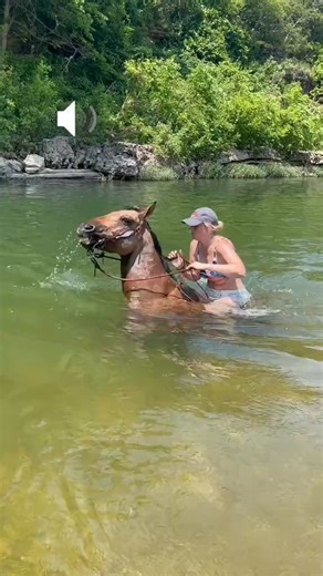 The noises coming from him 🤣🤣#TubiTaughtMe 6975574138685492485 #swimminghorses #summertim... | Alyssa Timms