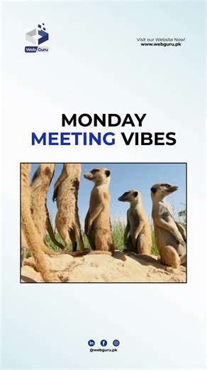 Our brains: 404 Error - Weekend Not Found. 💤 #webdevelopmentagency #shopifydevelopment #nodejs