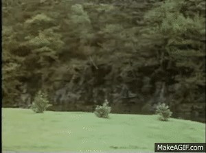 Monty Python - How Not to Be Seen (Original version) on Make a GIF