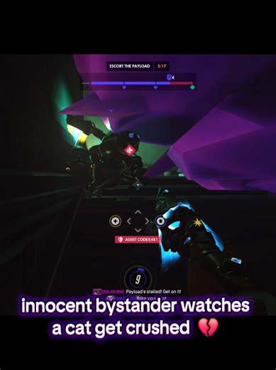 Jetpack Cat's Hilarious Misadventure in Overwatch