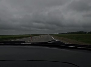 tired | Funny Animals