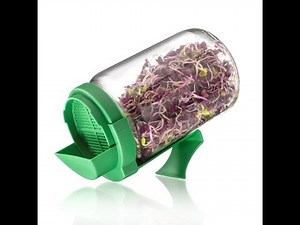 COMMENT FAIRE GERMER VOS GRAINES !